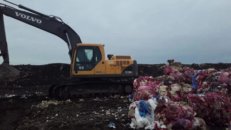 Mar del Plata: Hallan 9 fetos en descomposición en un predio de disposición final de residuos