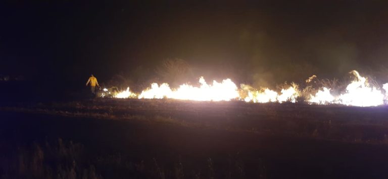 Defensa Civil y Bomberos Voluntarios trabajan para controlar incendios activos en General Acha y La Adela