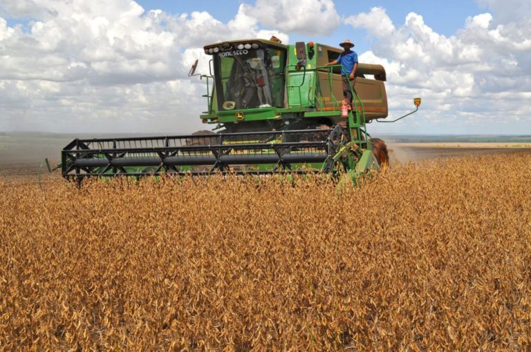 Destacan “buen avance en los cultivos de la cosecha gruesa” en La Pampa