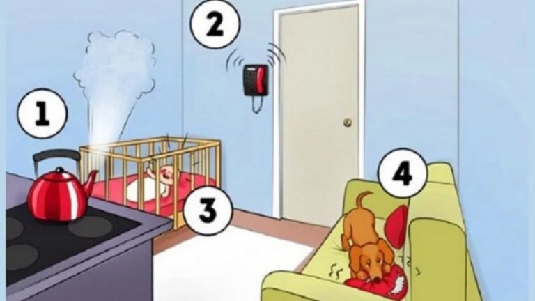 ¿Qué es lo primero que harías en esta situación? El test viral que te revelará aspectos íntimos de tu personalidad