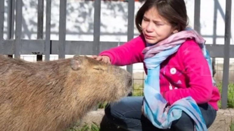 Envenenaron a Pancho, el carpincho de una nena de ocho años que se lo quería llevar la Gendarmería