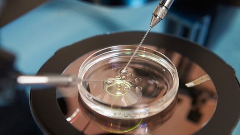 Ordenan a una obra social cubrir un tratamiento de fertilización asistida complejo