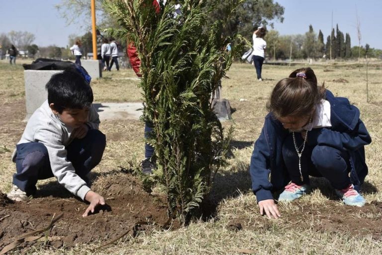 Viveros forestales entregaron más de 17 mil ejemplares de árboles de distintas especies durante el 2020 en La Pampa