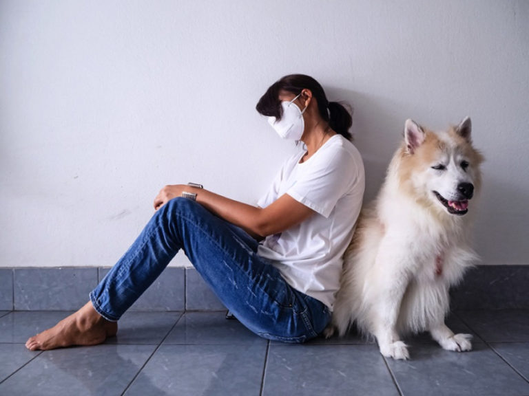 Veterinario aseguró que si una persona se encuentra contagiada de COVID-19 puede transmitirlo a su perro o gato