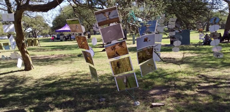 Turismo de Pico estuvo presente en Parque Luro con la muestra «Aves que Inspiran»