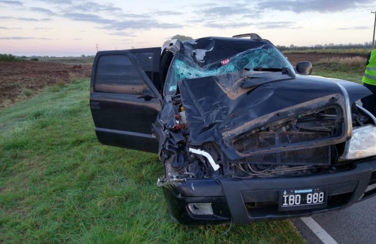 Una camioneta con cuatro personas a bordo chocó contra un caballo en ruta provincial 1