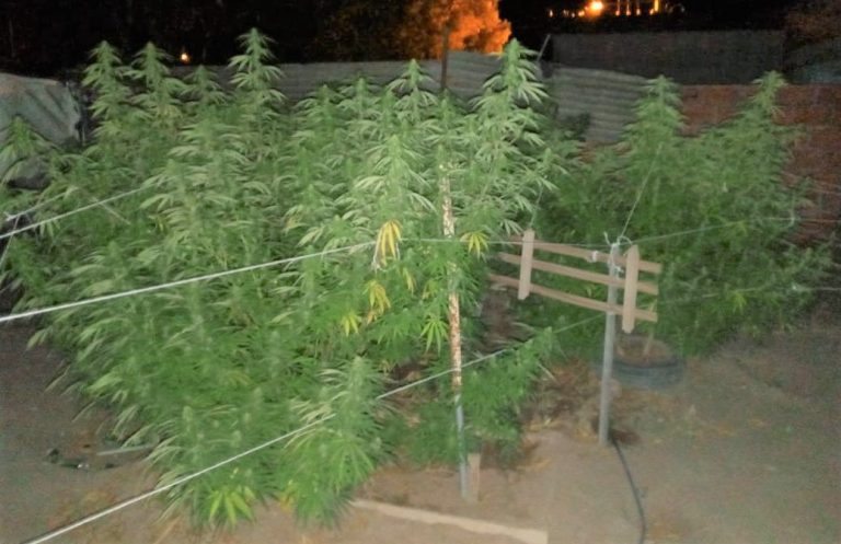 Desarticularon boca de expendio y detuvieron a un joven de 19 años en La Pampa
