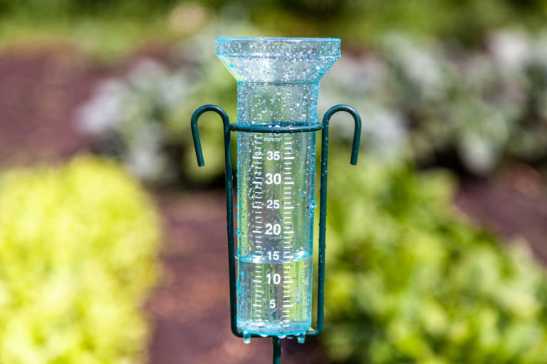 Datos de lluvia de las últimas 24 horas en el norte provincial