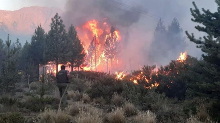 Oficial: el Gobierno Nacional declaró la Emergencia Ígnea y Zona de Desastre en La Pampa y la Patagonia por un año
