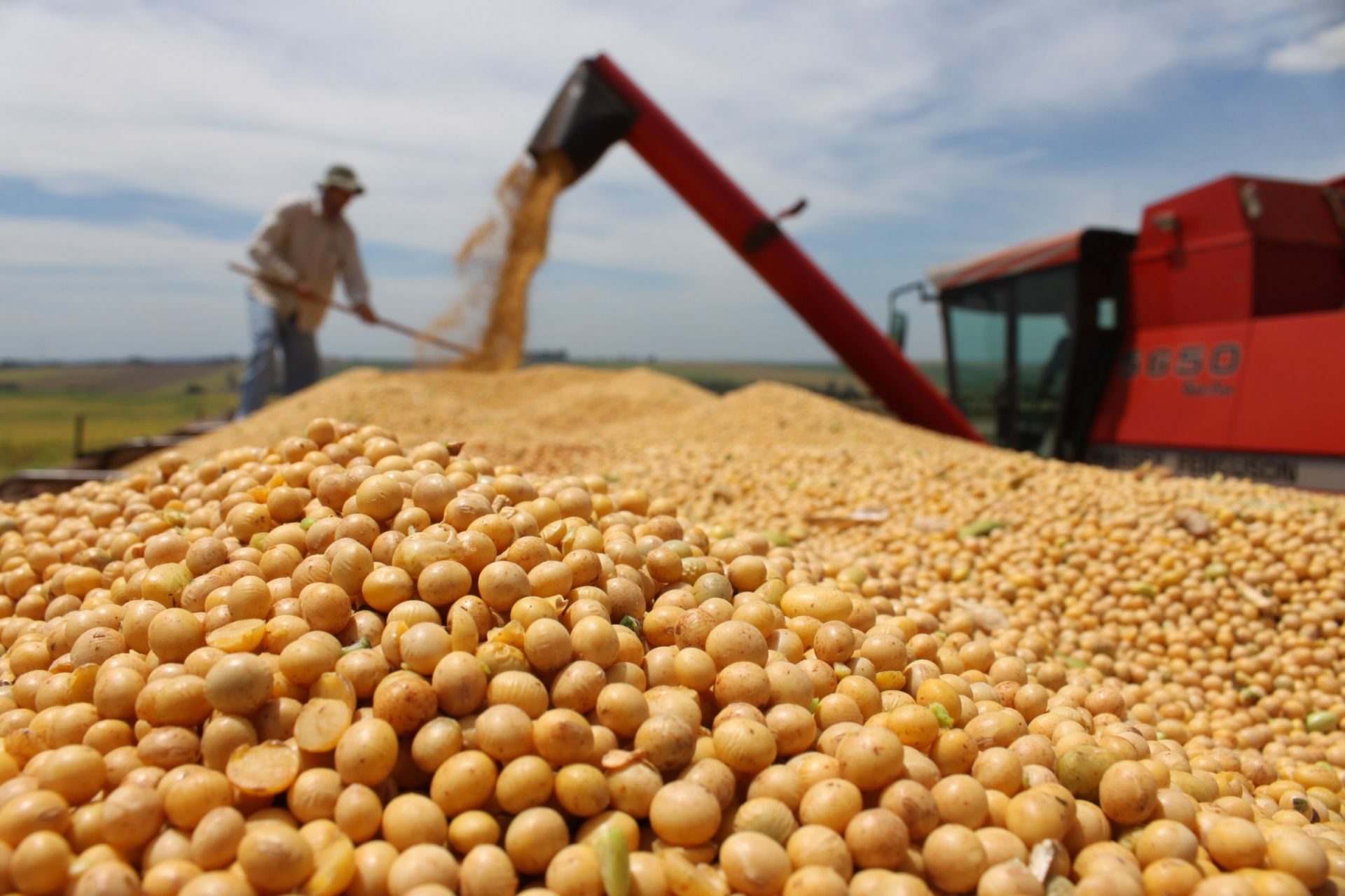 El gobierno destinará $15.000 millones para subsidiar a productores de soja y maíz