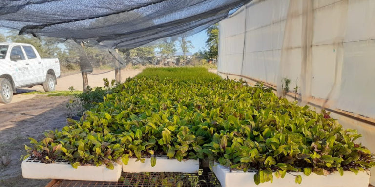 Impulso al desarrollo de proyectos para pequeños productores en La Pampa