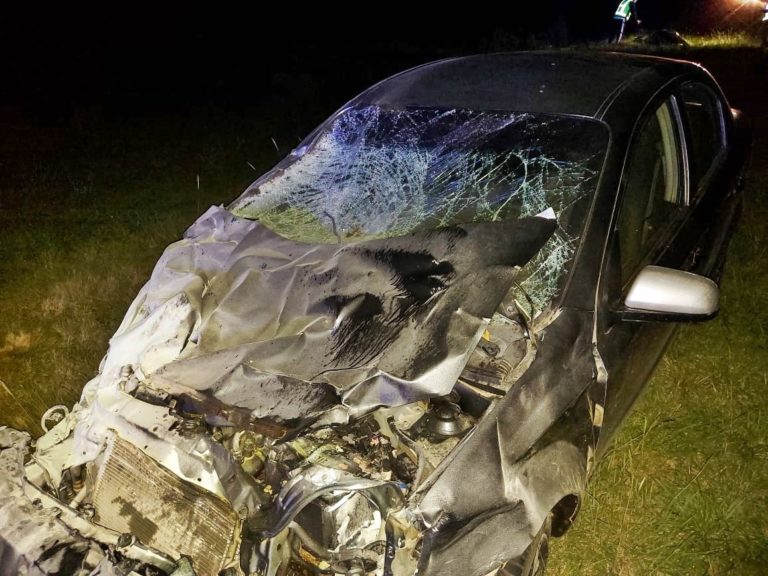 La familia accidentada anoche en ruta provincial 7 recibió el alta hospitalaria