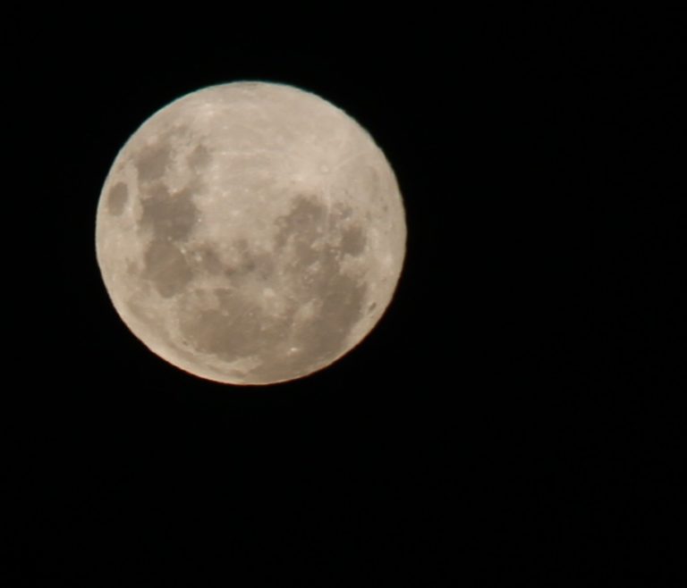Así se observa la “Superluna” de abril en La Pampa: ¿Por qué la vemos más grande y brillante este lunes?