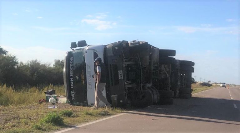 Camión jaula protagonizó un vuelco en cercanías de Falucho