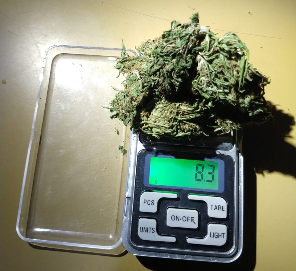 Durante Semana Santa la policía de Pico secuestró 585 gramos de marihuana