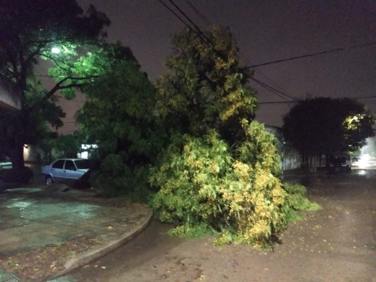Bomberos tuvo solo dos salidas a la madrugada, pero no por viviendas anegadas