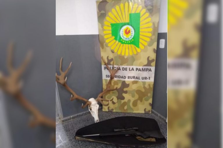 La Pampa: cazadores fueron infraccionados, iban con carne y cabezas de ciervos de manera irregular