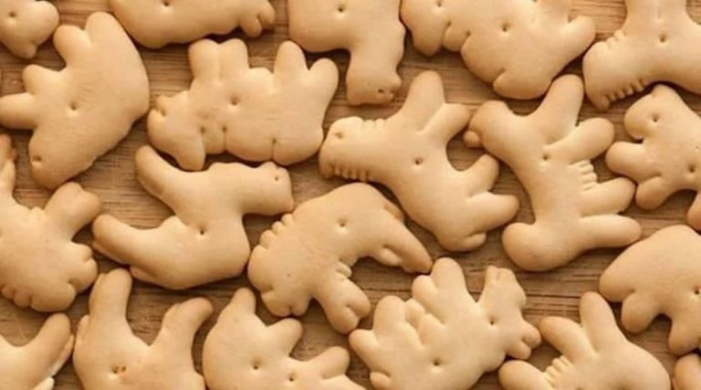 Francia: veganos quieren que se prohíban las galletas con forma de animal