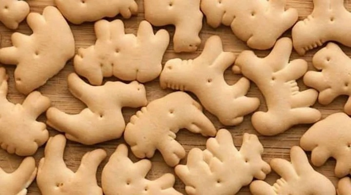 Francia: veganos quieren que se prohíban las galletas con forma de animal