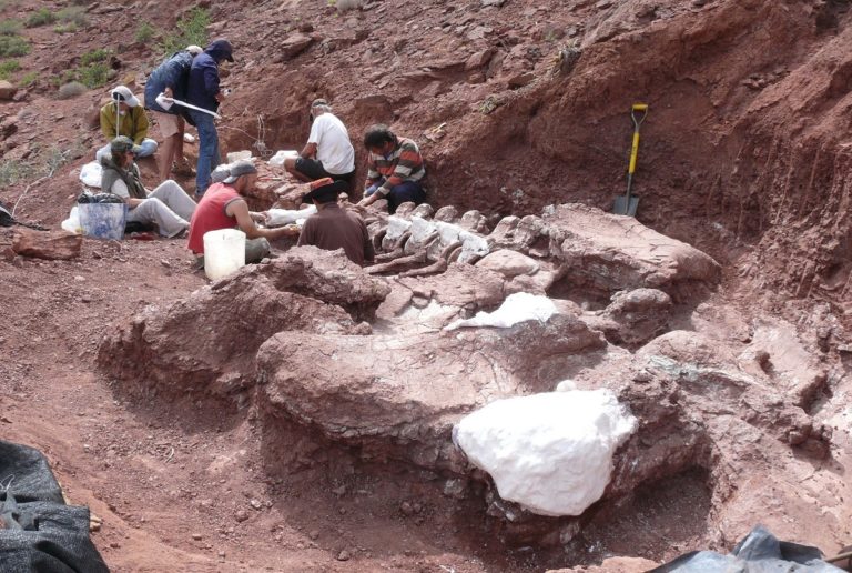 Lanzan en La Pampa un curso de técnicas de Paleontología