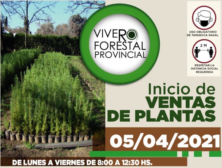 Mira el listado de precios de las diferentes especies forestales que ofrece el Vivero Forestal Provincial
