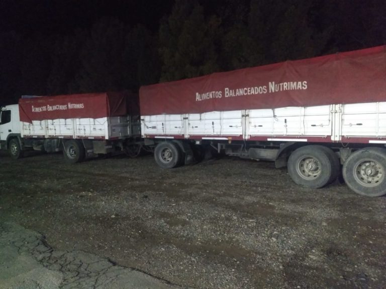 Detectan importante carga de maíz y soja de contrabando que iba de Eduardo Castex a la provincia de Río Negro
