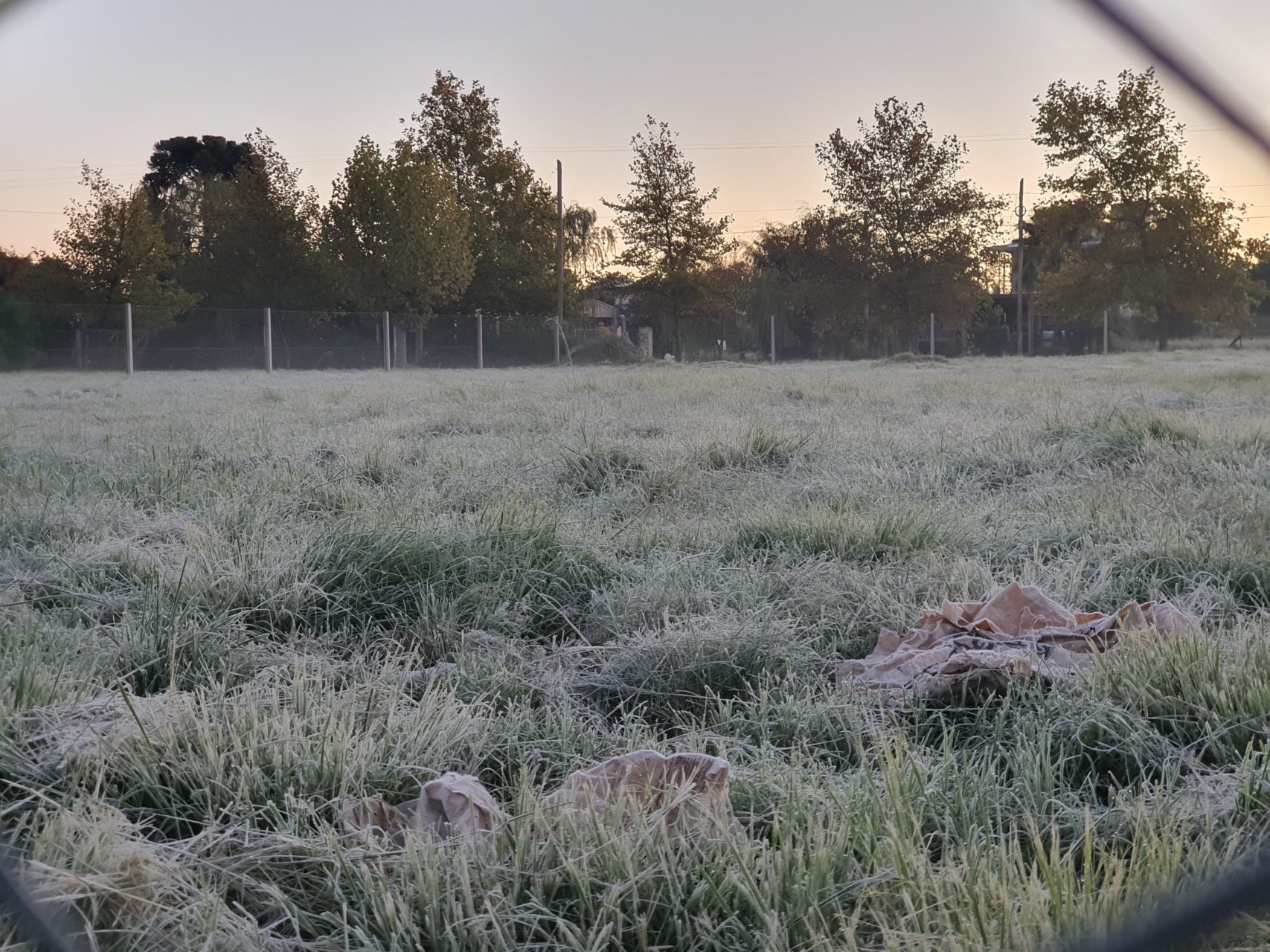 Primera helada del año: Santa Rosa y General Pico entre las localidades más frías del país