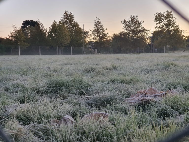 Primera helada del año: Santa Rosa y General Pico entre las localidades más frías del país