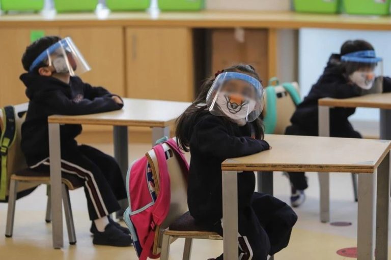 Diputados chilenos “le declaran la guerra” al lenguaje inclusivo: Quieren prohibirlo en las escuelas