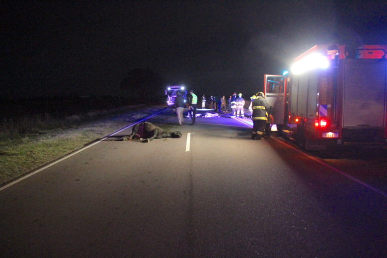 FATAL ACCIDENTE A METROS DE GENERAL PICO: Un muerto y dos personas heridas tras chocar un auto con un caballo suelto en medio de la ruta