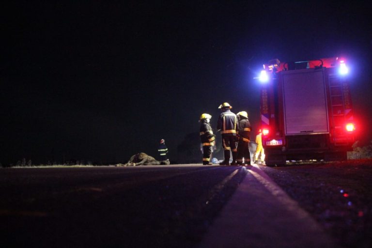 ACCIDENTE FATAL: El dueño del caballo fue individualizado y notificado a disposición de fiscalía por homicidio culposo