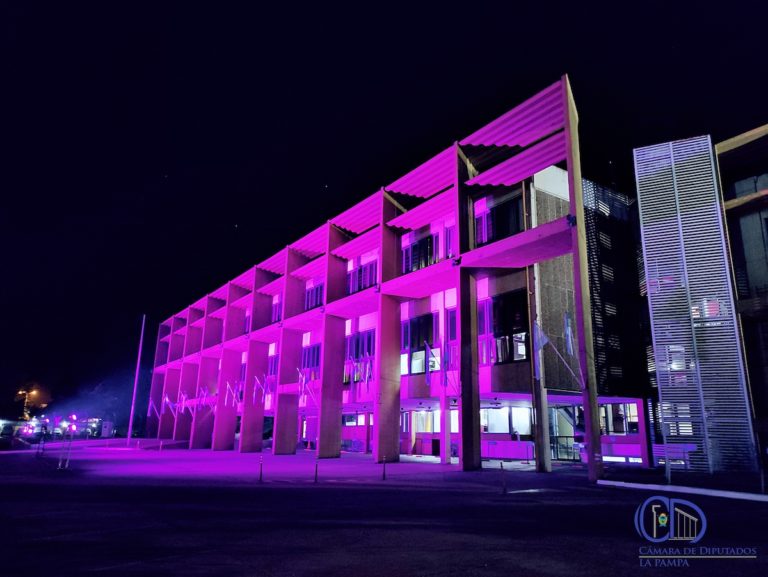 La legislatura pampeana se tiñó de violeta por el día mundial del lupus