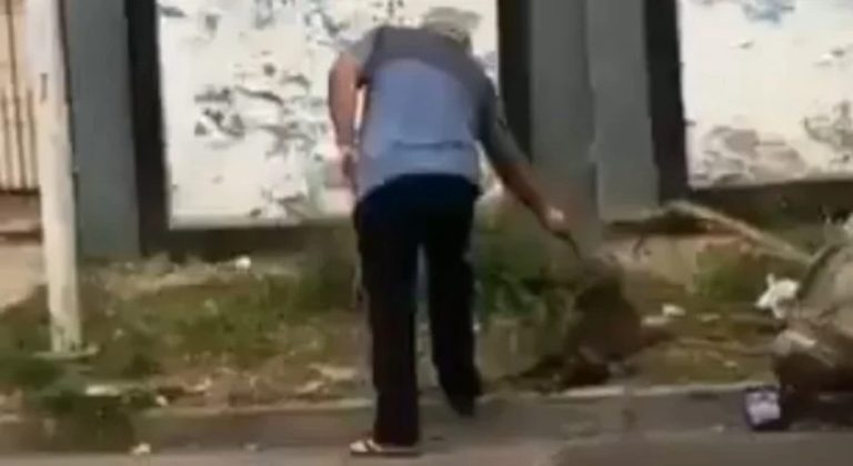 Video: Ocurrió en La Matanza, mató de un tiro a un perrito de la calle que cuidaban los vecinos de la cuadra