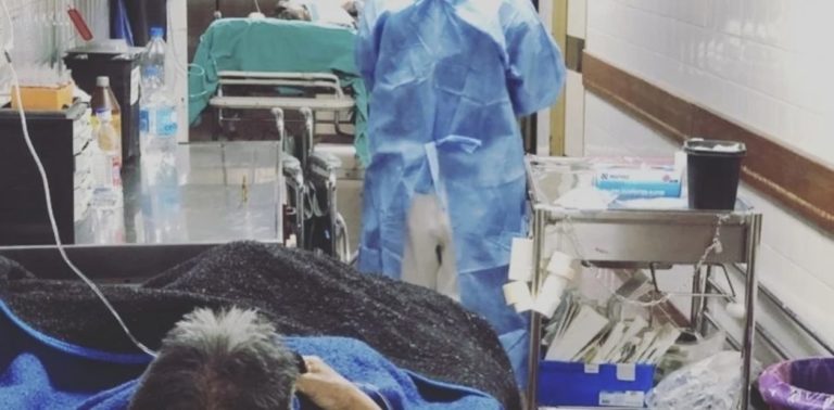 Neuquén: una médica confesó que recibió la indicación de dejar morir a un hombre de 56 años