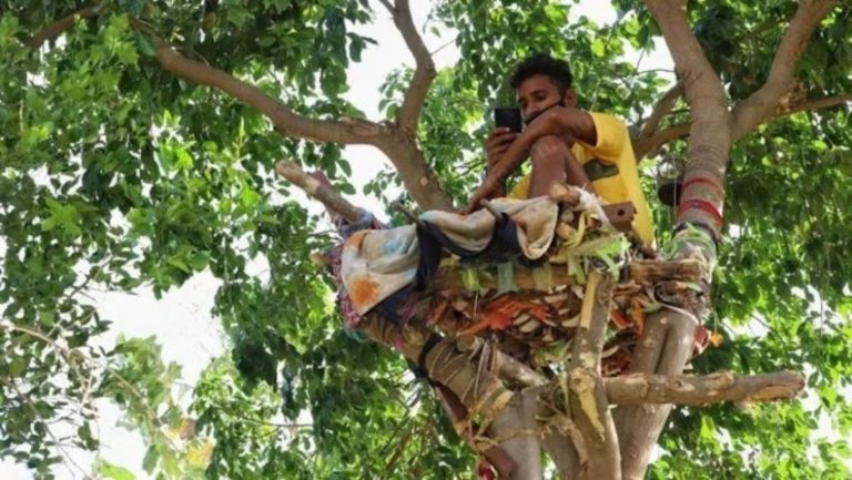 India: para no contagiar de Covid a su familia, un joven vivió 11 días arriba de un árbol
