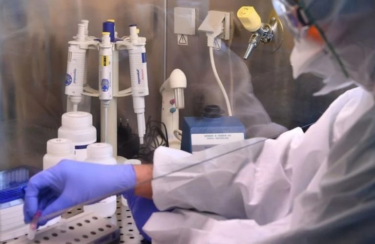 Covid-19: hallan un tratamiento con anticuerpos para acabar con las variantes del coronavirus