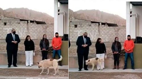 En Jujuy, una intendenta daba un discurso y fue orinada por un perro