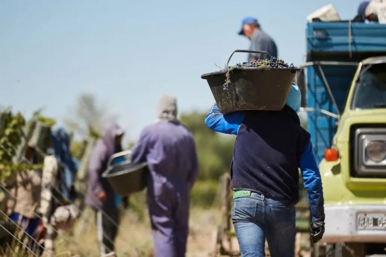 Se expande la industria vitivinícola en La Pampa: “Siempre se tuvo fe y confianza en que las características del suelo y el clima daban todo para producir”