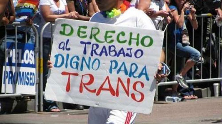 Diputados aprobó y envió al Senado el proyecto de ley sobre cupo laboral travesti trans