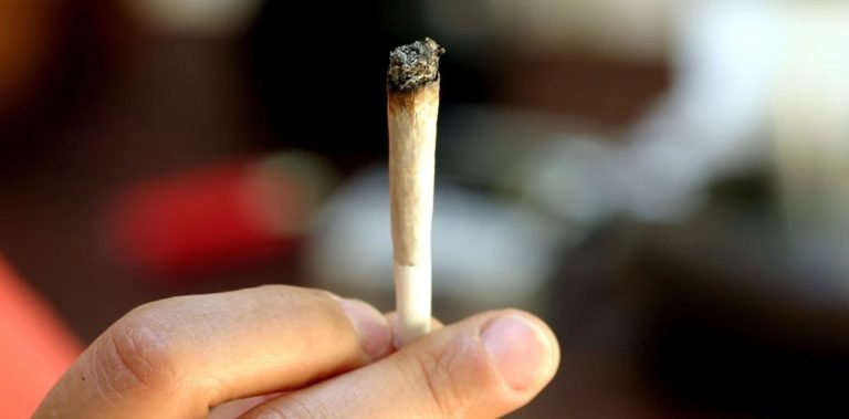 Estados Unidos: “si te vacunás, te damos un porro”, la promo para acelerar la vacunación contra el COVID en Washington