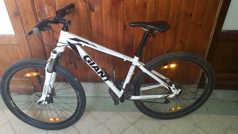 Robó una bicicleta valuada en más de 140.000 pesos, pero la policía logró detenerlo horas después en la vía pública