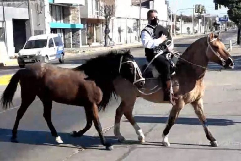 Córdoba: se recibió de abogado a los 54 años y viajó 50 kilómetros a caballo para recibir el título