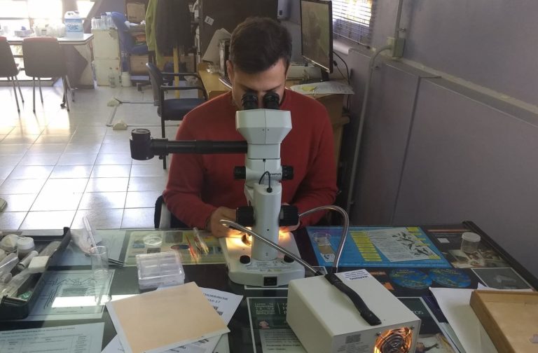 Destacaron a La Pampa por la protección de su patrimonio arqueológico y paleontológico