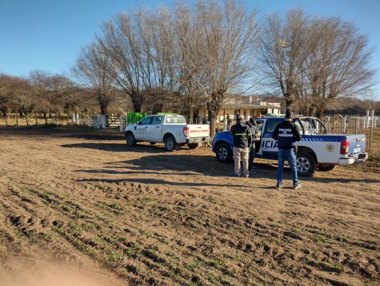 Allanamiento en un campo de La Maruja por el robo de dos jaulas de animales vacunos valuados en $ 5 millones de pesos: Se extraditó a un detenido que fue atrapado en Buenos Aires