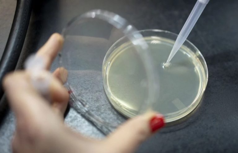 Coronavirus: hallaron un nuevo “súper anticuerpo” que podría combatir todas las variantes del Covid-19