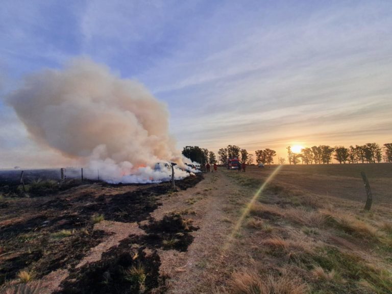 Emoción y gratitud: El relato del dueño de los rollos incendiados y un perro que lloró a su lado y luego se acercó a uno de los bomberos