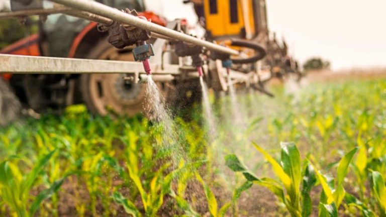 Ley de Plaguicidas: Charla sobre enfermedades en cereales de invierno