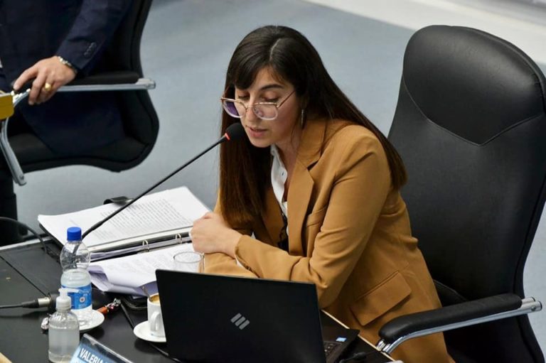 Aprobaron la Ley de procedimiento penal juvenil: “Era una deuda que tenía La Pampa con los adolescentes que están en conflicto con la ley” aseguró la diputada Valeria Luján
