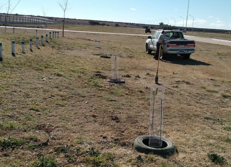 Recursos Naturales foresta el Autódromo Provincia de La Pampa