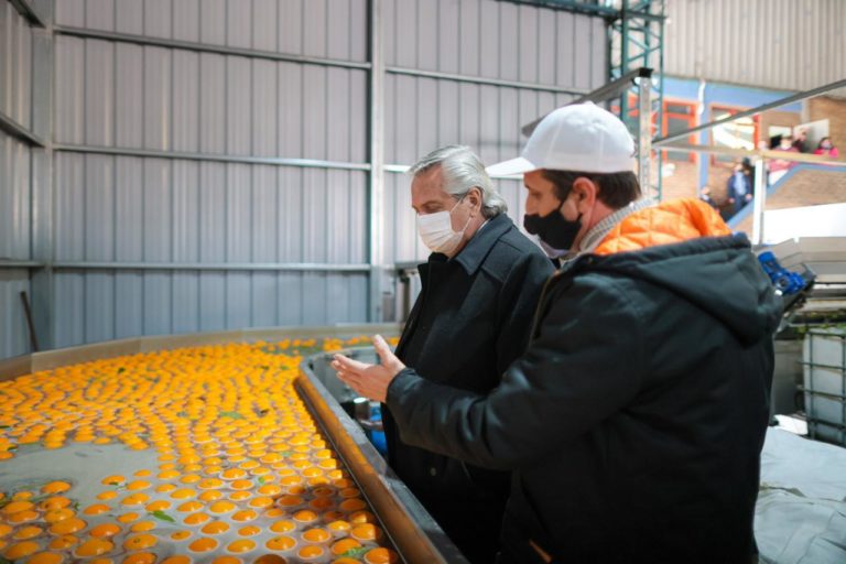 Alberto Fernández presentó un plan de promoción del empleo registrado para 250 mil trabajadores rurales: “El objetivo nuestro es dignificar el trabajo”